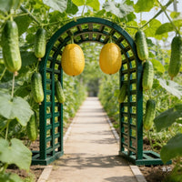 European Style Wrought Iron Arch Trellis for Climbing Plants, Roses, and Vines - Outdoor Garden and Villa Decor