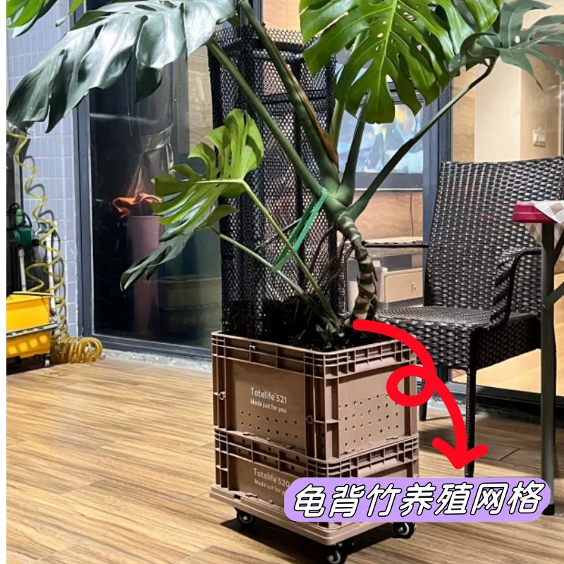 Plant Support Netting for Climbing Plants, Monstera Deliciosa Trellis Net, Garden Plant Trellis, Hydroponic Netting