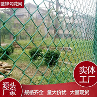 Galvanized Chain Link Fence for Sports Fields and Enclosures