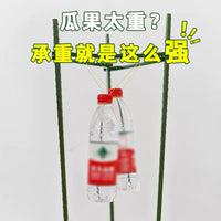 Garden Plant Support Stakes for Climbing Vines, Tomatoes, Peppers, and Eggplants