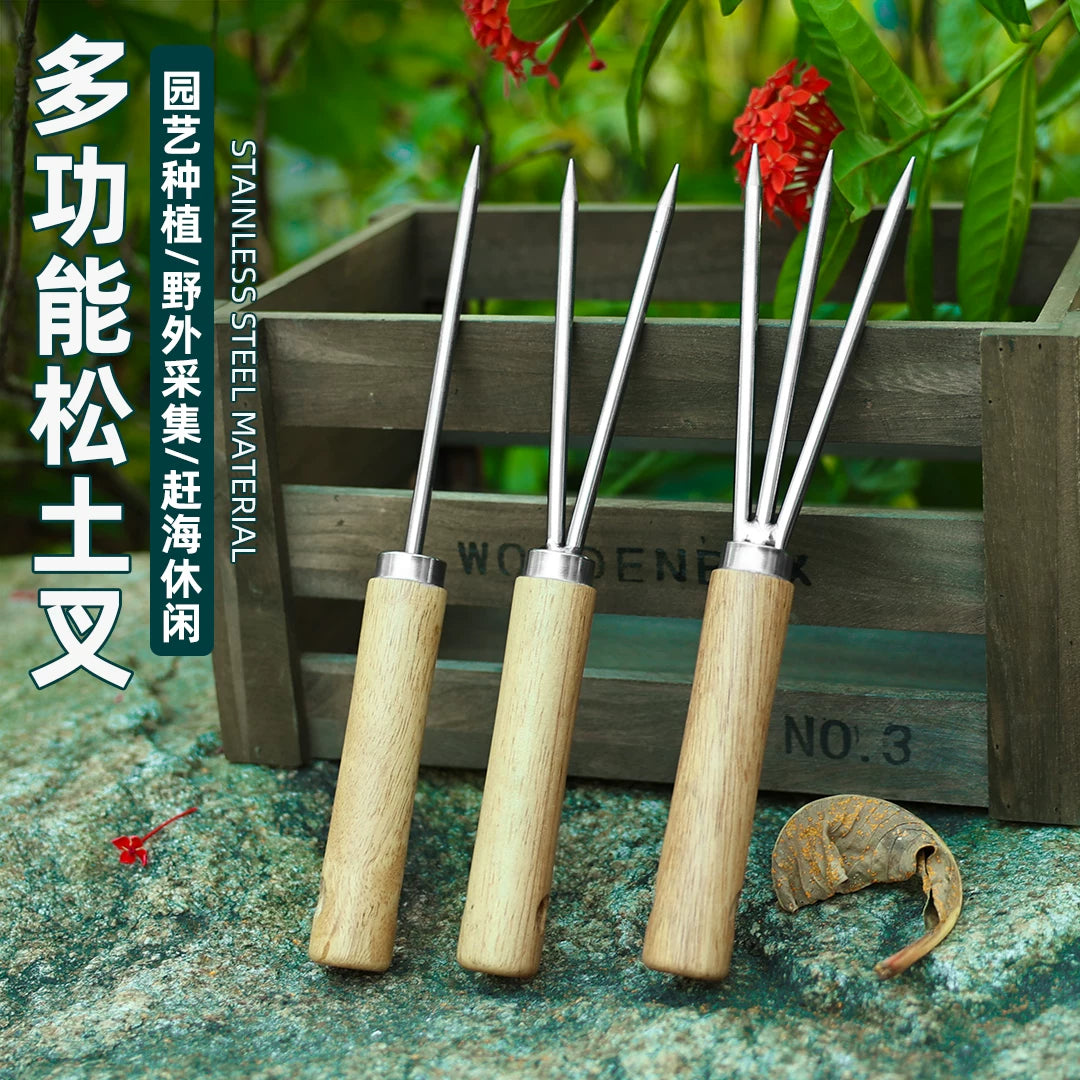 Stainless Steel Bonsai Soil Loosening Rake and Fork Tool for Gardening
