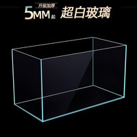 Crystal Clear Glass Aquarium for Betta Fish, Goldfish, and Aquatic Plants, Desktop Turtle Tank