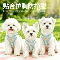Pet Breathable Harness and Leash Set for Cats and Small Dogs