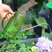 Stainless Steel Long Spout Watering Can for Indoor Plants & Succulents