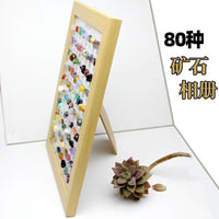 80-Specimen Mineral Crystal Collection Frame for Geological Education