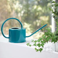 Long Spout Watering Can for Indoor Plants, Metal Watering Pot for Succulents and Small Potted Plants