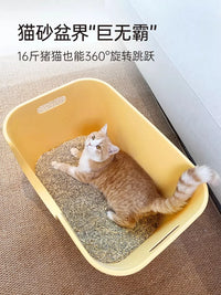 Mango Large Open Cat Litter Box with Anti-Splash Design