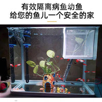 Aquarium Fish Breeding Isolation Box with Net Divider