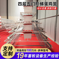 Galvanized Layer Hen Cage with Automatic Manure Removal and Feeding Trough, 3-4 Tiers