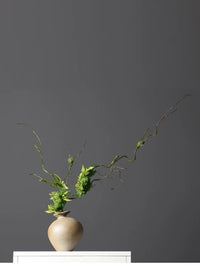 Artificial Vine Dried Branch Moss Plant Decoration for Floral Arrangements Home Indoor Background Window Display Wall Hanging Greenery