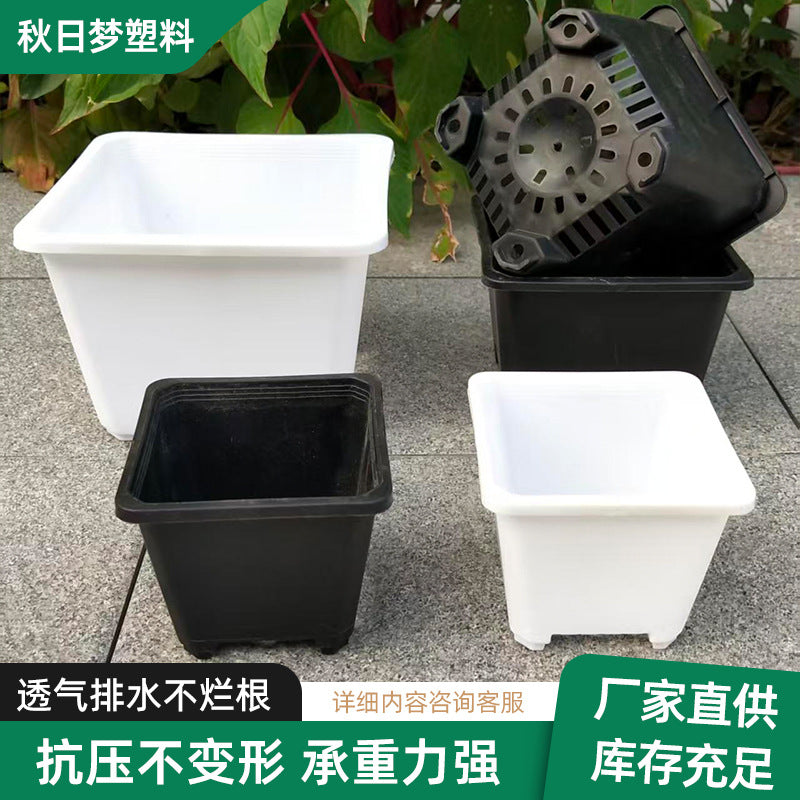 Square Plastic Succulent Planter Pots for Seedling and Desktop Green Plants