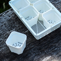 Small Plastic Seedling Tray for Succulents and Cuttings, Flower Propagation Planter