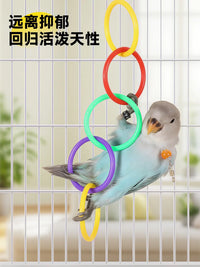 Parrot Swing Toy with Colorful Hanging Rings for Small to Medium Birds