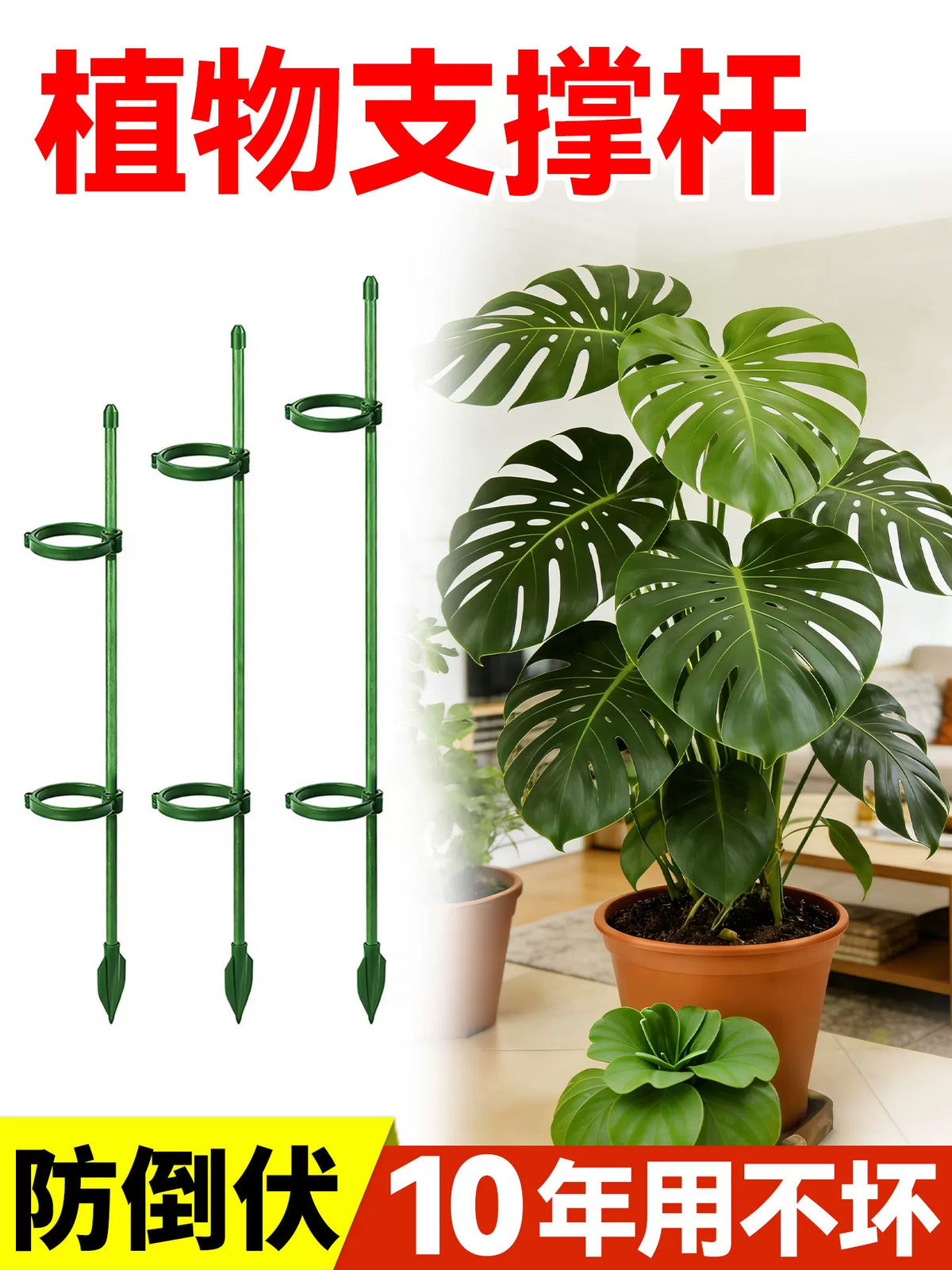Plant Support Stakes for Climbing Plants, Monstera, Tomatoes, and Garden Vegetables