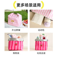 Cartoon Insulated Lunch Bag for Women, Portable Thermal Bento Tote for Work and School
