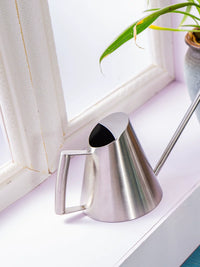 Stainless Steel Long Spout Watering Can for Indoor Plants and Succulents, Small Household Potting Kettle