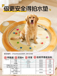 Pet Cooling Mat Tear-Resistant Inflatable Water Bed for Dogs and Cats Summer Relief