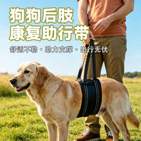 Dog Rear Leg Support Harness for Elderly and Injured Dogs, Rehabilitation Aid
