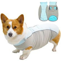 Pet Cooling Vest Breathable Summer Dog Apparel for Heat Relief