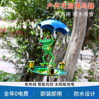 Outdoor Iron Bird Bath & Feeder with Garden Stake, Frog Design