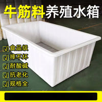 Heavy-Duty Plastic Rectangular Water Storage Tank for Aquaculture and Fish Farming