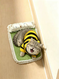 Cat Scratching Board and Cooling Bed Combo with Ice Pad for Summer