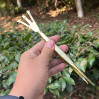 Stainless Steel Bonsai Tool Set for Pruning, Raking, and Soil Shaping