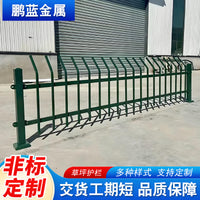 Galvanized Steel Lawn Fence for Garden and Park Landscaping