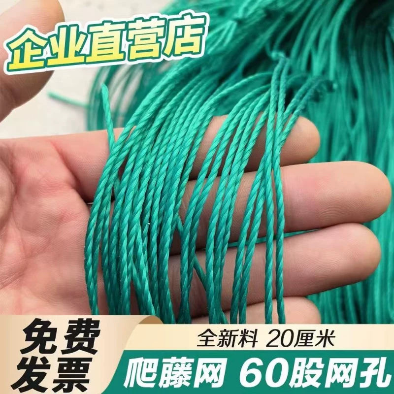 Plant Trellis Netting for Climbing Vines, Fruits, and Flowers - Garden Support Net