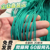 Plant Trellis Netting for Climbing Vines, Fruits, and Flowers - Garden Support Net