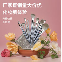 14-Piece Professional Makeup Brush Set with Blush, Eye, and Face Brushes
