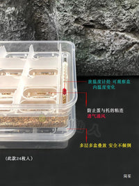 Reptile Egg Incubation Box with Divider for Lizards, Geckos, and Tortoises