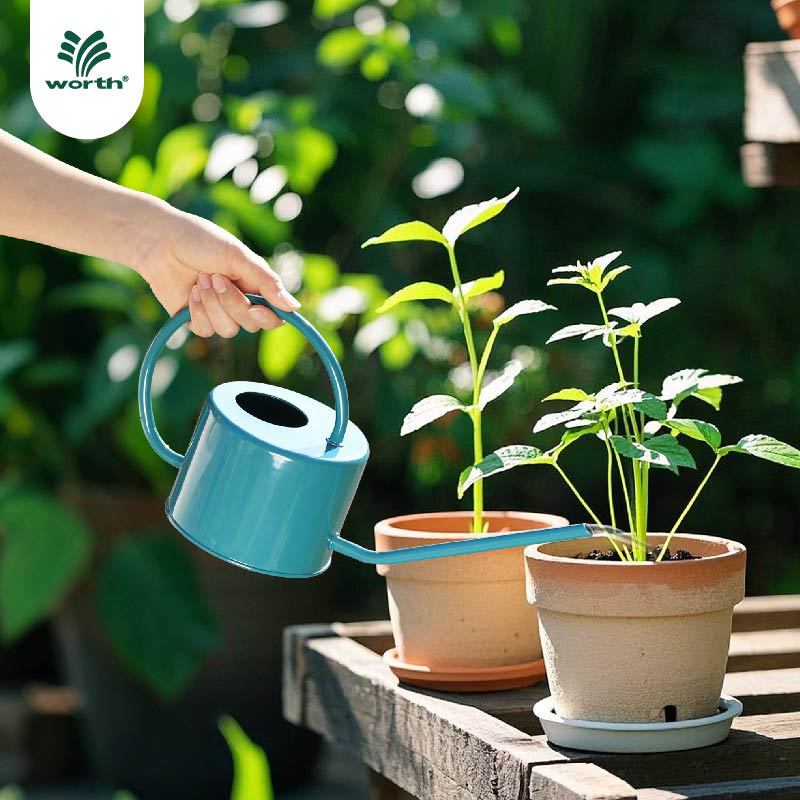 Long Spout Watering Can for Indoor Plants, 1L Metal Watering Pot for Succulents and Flowers