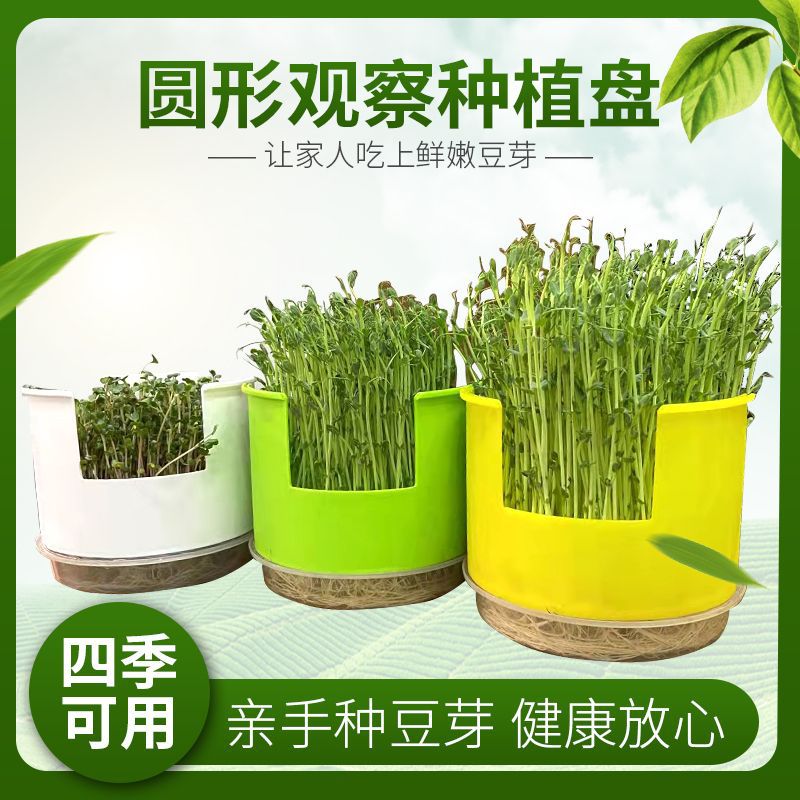 Round Hydroponic Seedling Tray for Home Gardening, Soilless Cultivation Germination Planter