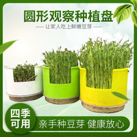 Round Hydroponic Seedling Tray for Home Gardening, Soilless Cultivation Germination Planter