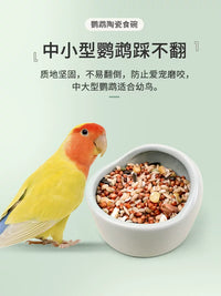 Ceramic Parrot Feeder Bowl for Small Birds, Anti-Splash Food Dish