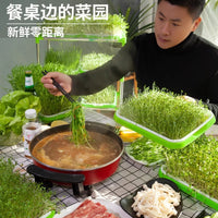 Hydroponic Seed Sprouter Tray Kit for Home Gardening, Bean Sprout Growing System