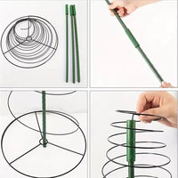 Adjustable Spiral Plant Support Stake for Climbing Vines and Tomatoes