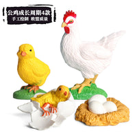 Animal Life Cycle Figurines Educational Toy Set for Kids