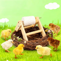Rotating Pet Feeder Toy for Parrots, Chickens, Squirrels with Grinding Stone