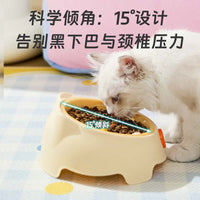 Stainless Steel Tilted Pet Bowl for Cats and Small Dogs, Elevated Anti-Vomit Anti-Choke Food Feeder, Non-Slip Anti-Tip Design