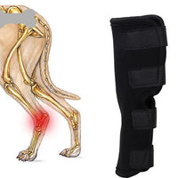 Pet Dog Front/Rear Leg Brace for Injury Support and Fracture Fixation