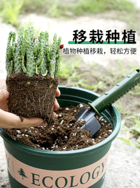 Gardening Hand Tool Set: Trowel, Rake, Hoe, and Claw Gloves for Planting, Potting, and Weeding