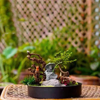 Iron Art Tray for Bonsai and Micro Landscape Planters, Metal Base for Green Plants and Floral Arrangements