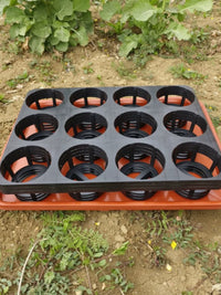 Orchid Seedling Tray with Drip Tray - 12/15 Hole Plant Holder for 3.5-inch Pots