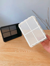 Mini Seedling Trays with Lids for Succulents and Lithops, Thickened Plastic Propagation Planter