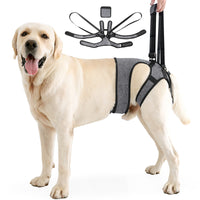 Dog Rear Leg Support Harness for Injured, Disabled, or Elderly Pets