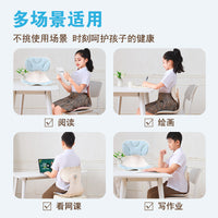 Ergonomic Lumbar Support Cushion for Office Chairs and Students