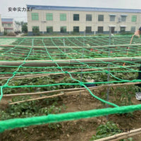 Heavy-Duty Plant Trellis Netting for Climbing Vegetables and Fruits