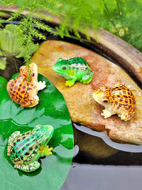 Miniature Frog Figurines for Garden Pond Aquarium Landscape Decoration